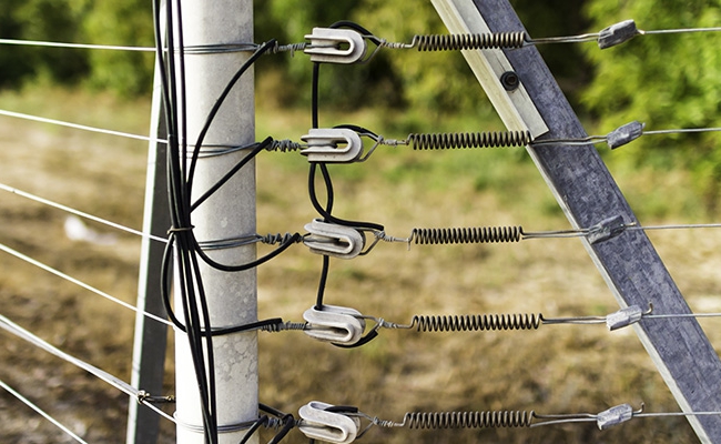 electric-fence
